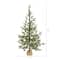 4ft. Pre-Lit Fraser Fir Artificial Christmas Tree, Clear LED Lights